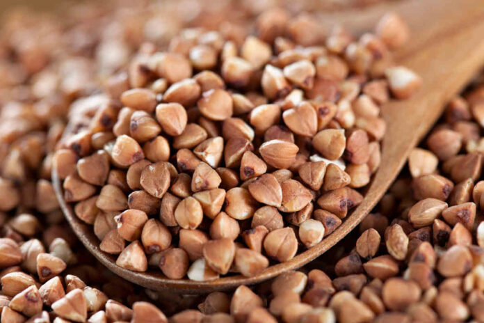 grano-saraceno