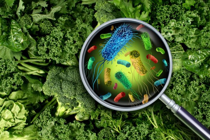 e-coli-food-poisoning-outbreak