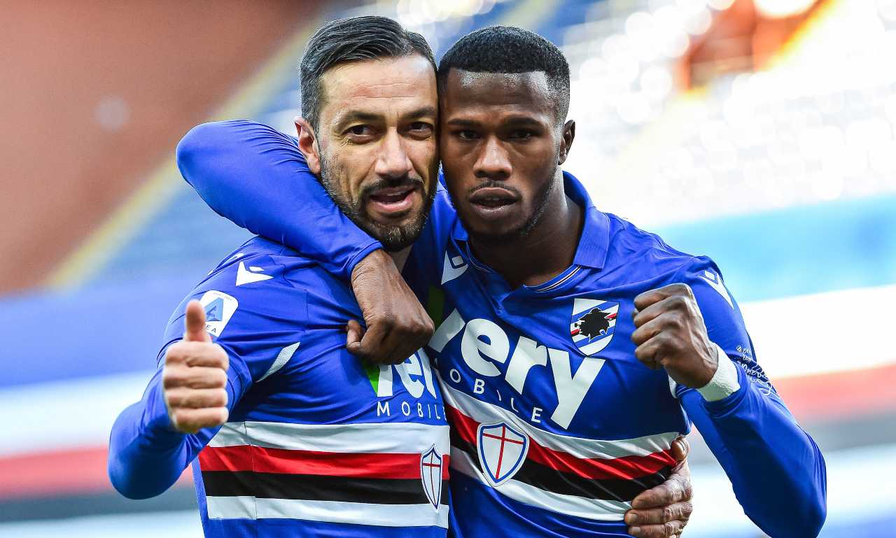 rinnovo quagliarella Sampdoria