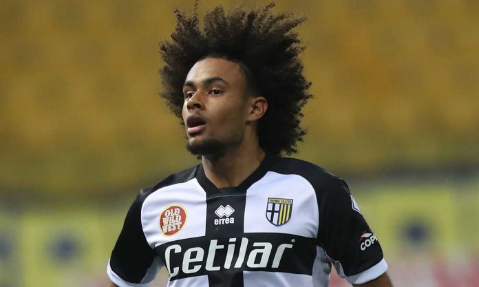 zirkzee parma Zirkzee Parma