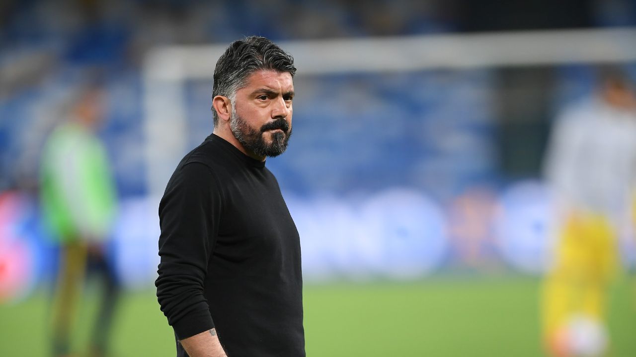 gattuso fiorentina