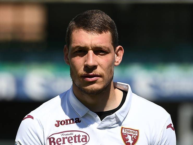 belotti rinnovo torino