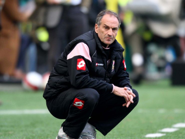 guidolin palermo 