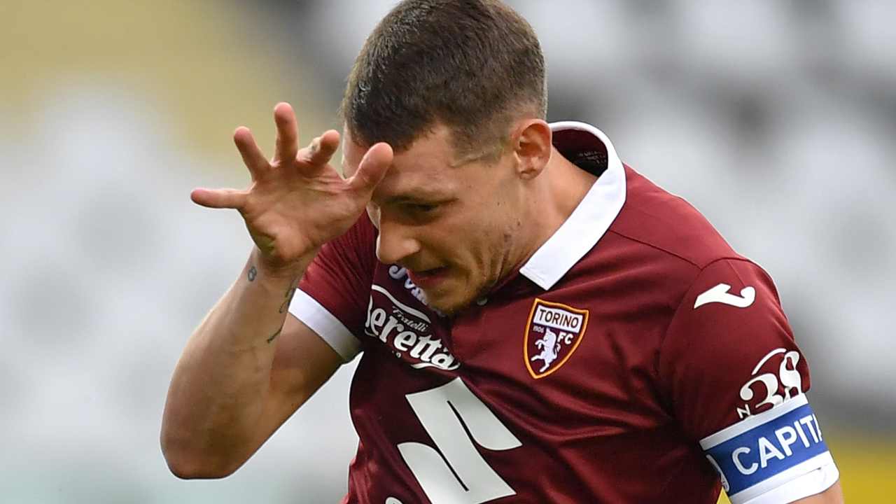 Gallo belotti - Getty Images