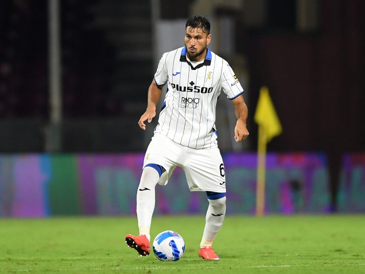 Palomino in campo - Getty Images