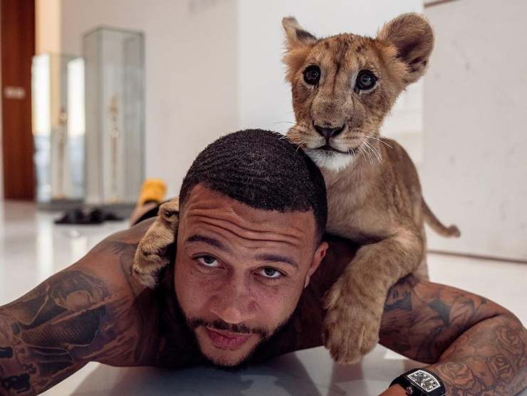 Memphis Depay ligre