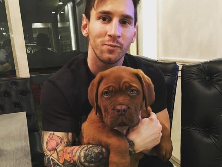 Leo Messi cane