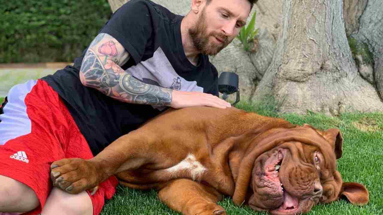 Messi cane Hulk