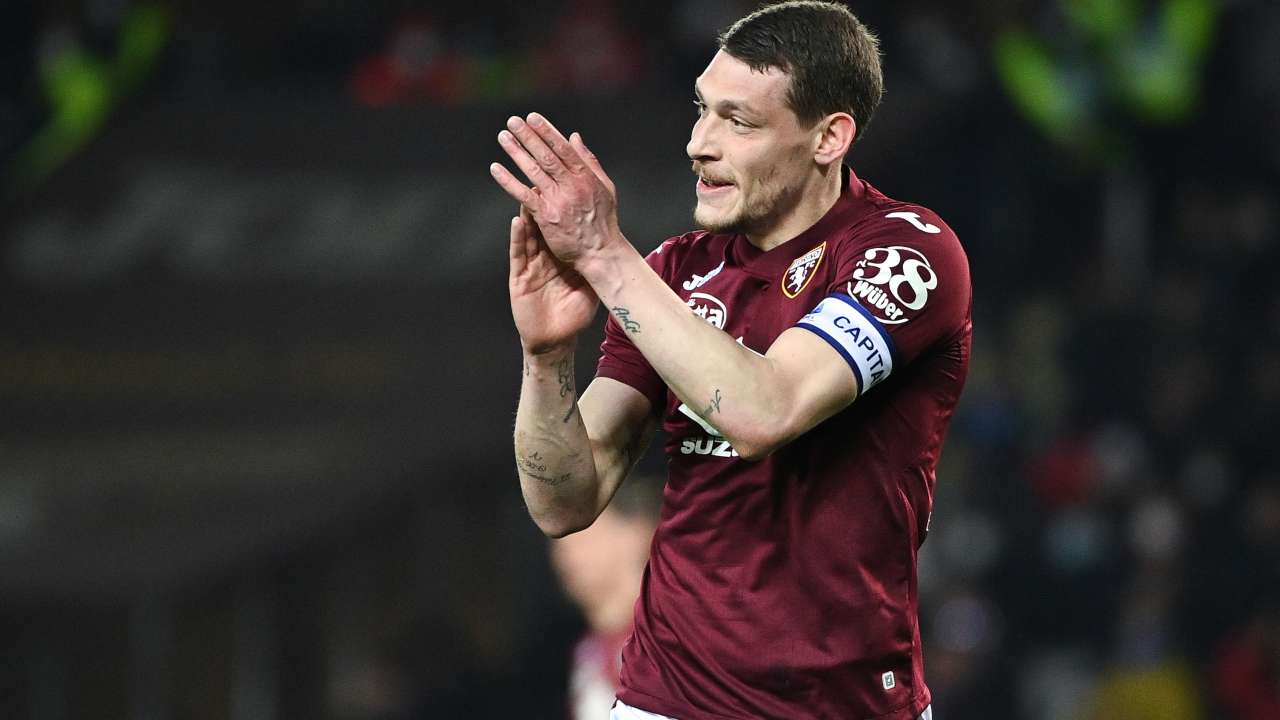 belotti