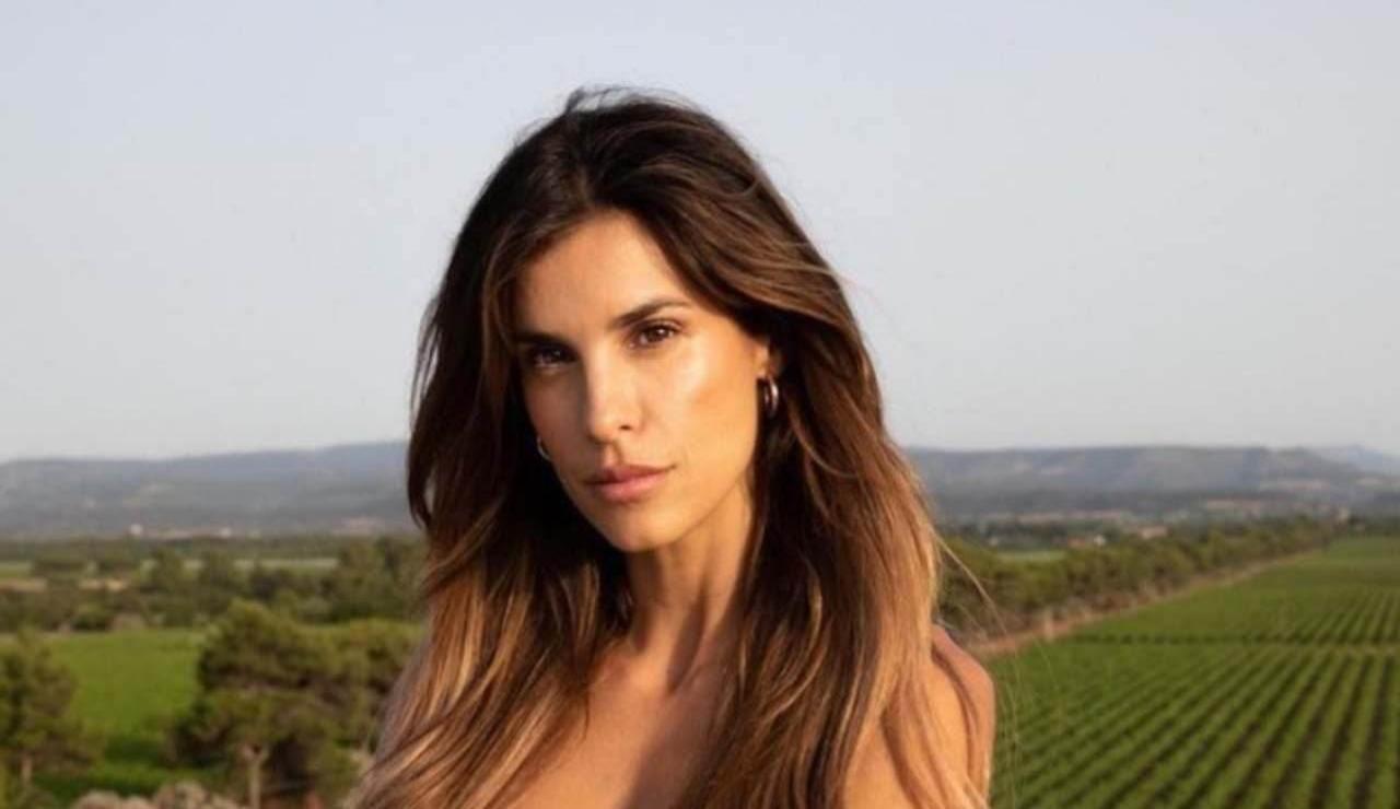 Elisabetta Canalis, ex velina