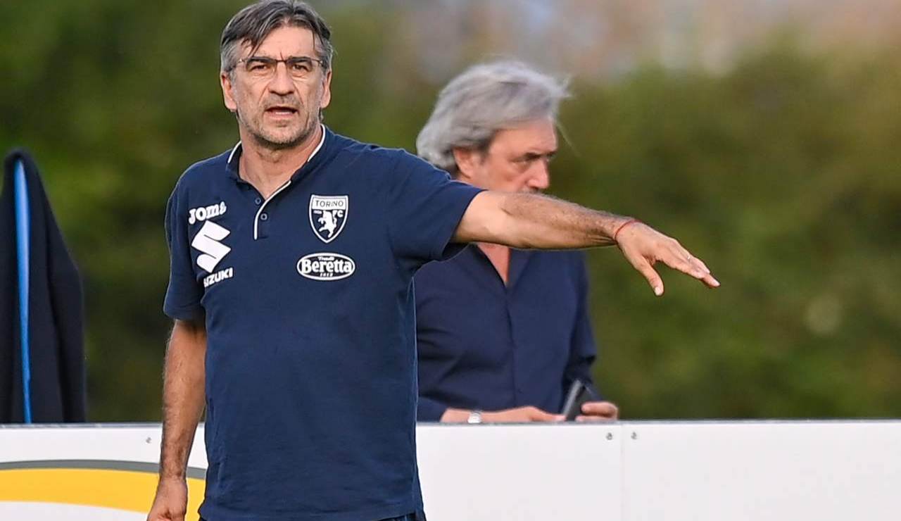 Ivan Juric, allenatore del Torino